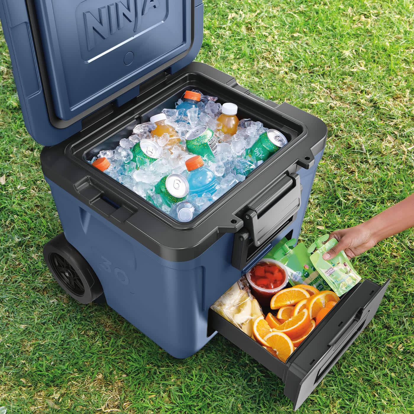 Ninja FrostVault 28L Wheeled Cooler | Cool Box in Slate Grey